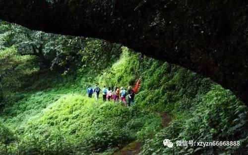 手握3部大制作的她能成00后人气花吗