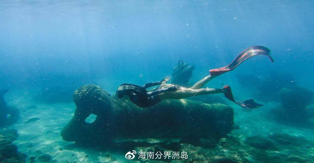 救援小白狼