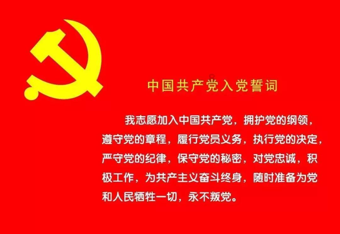 天天趣抓